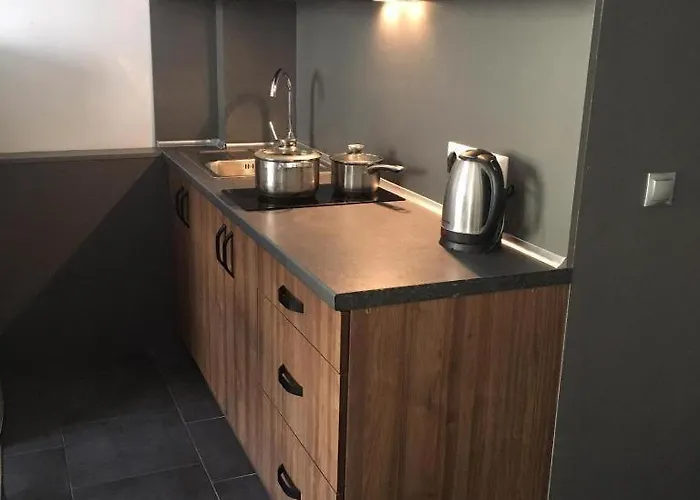 Apartment Varosh Ujgorod